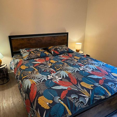 Residence Bois Du Bouchet, Appartement Vue Montagne, Calme, Parking Gratuit, Proche Centre Chamonix Esterno foto