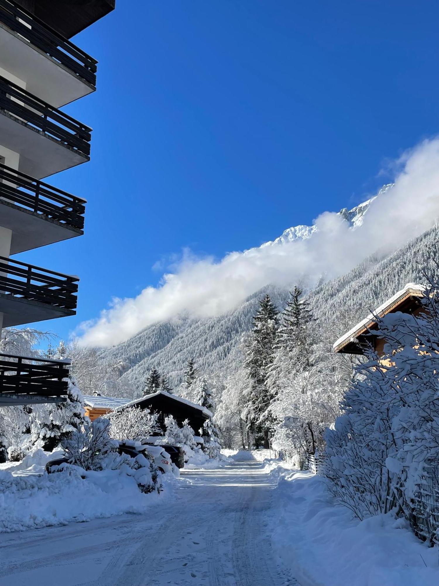 Residence Bois Du Bouchet, Appartement Vue Montagne, Calme, Parking Gratuit, Proche Centre Chamonix Esterno foto