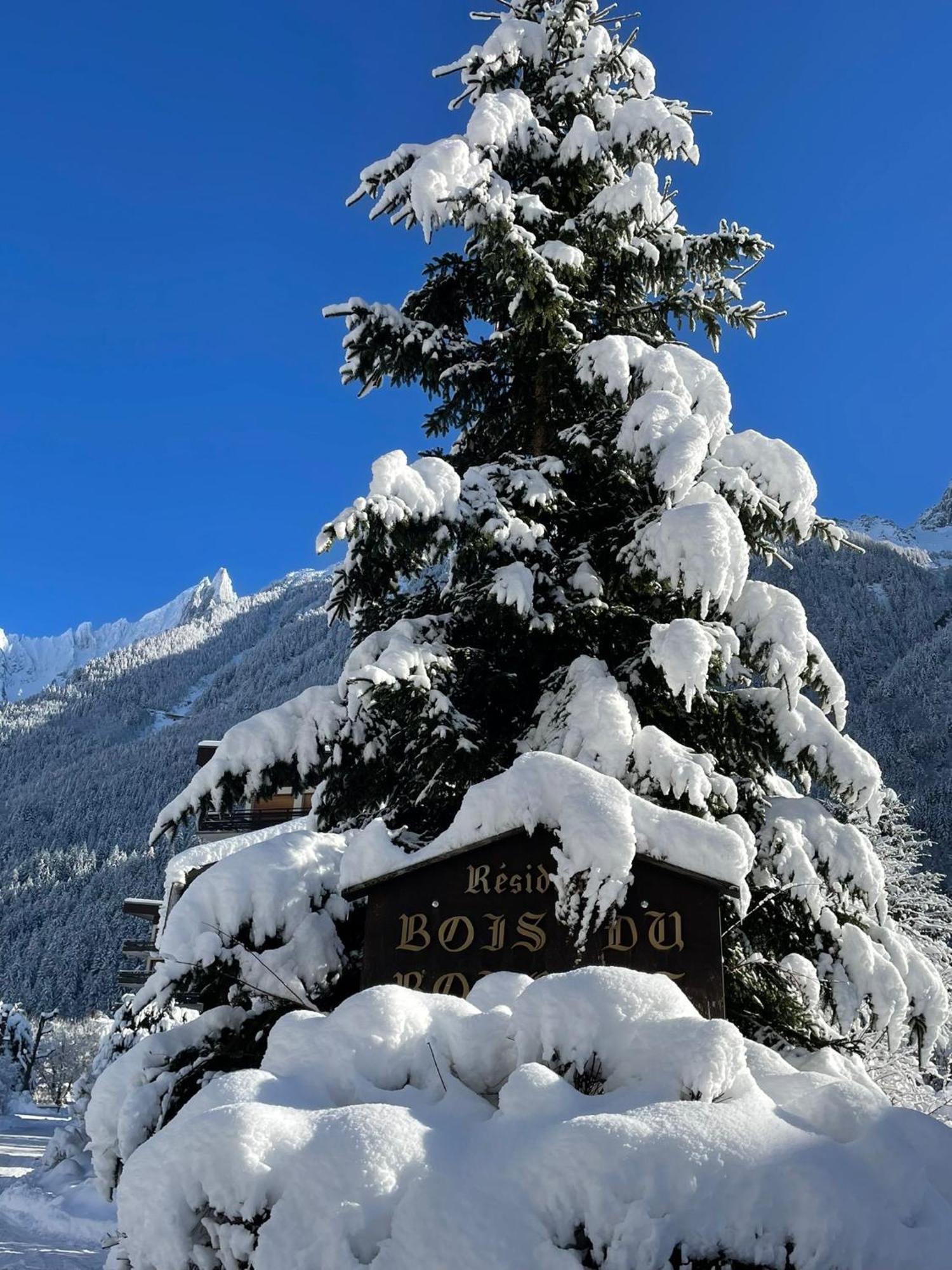 Residence Bois Du Bouchet, Appartement Vue Montagne, Calme, Parking Gratuit, Proche Centre Chamonix Esterno foto